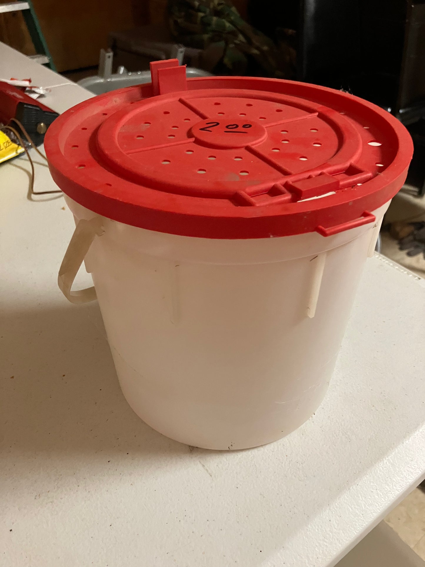 Small Bait Bucket