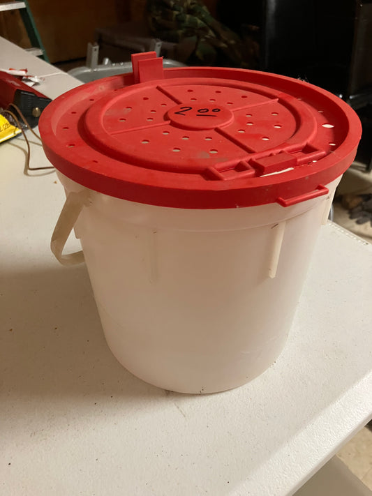 Small Bait Bucket